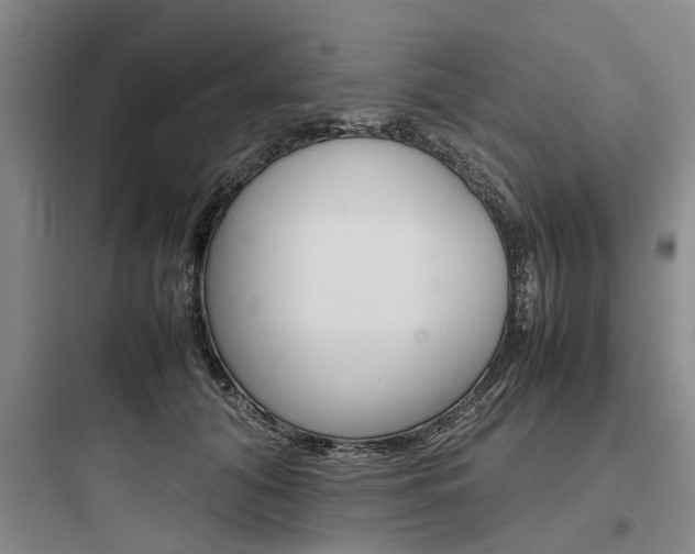 X0000097960608200803241043