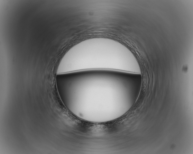 X0000097960609200803241043