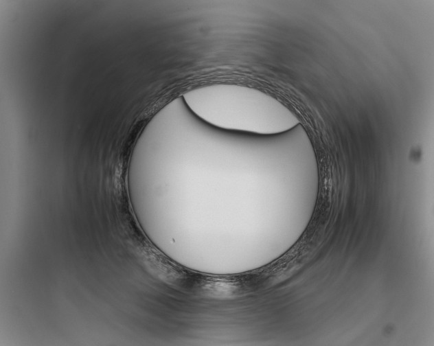 X0000097960610200803241043