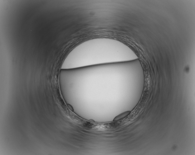 X0000097960611200803241043