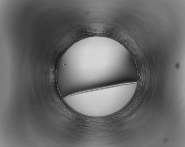 X0000097960612200803241043