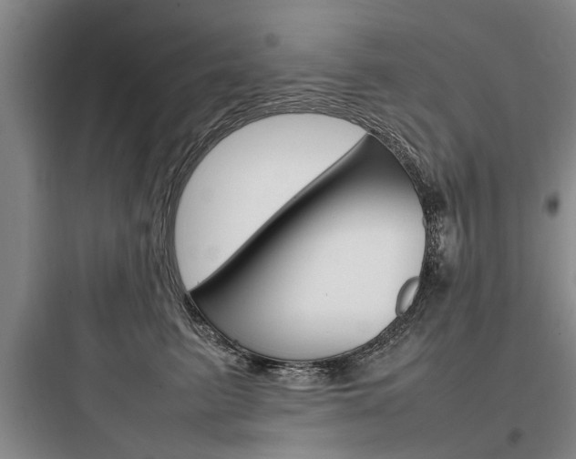X0000097960615200803241043