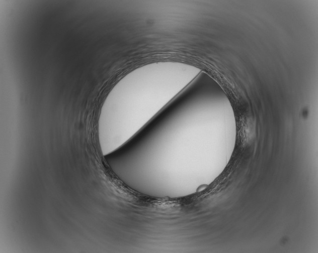 X0000097960619200803241043
