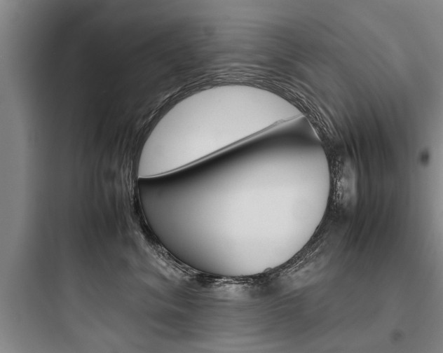 X0000097960620200803241043