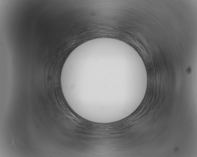 X0000097960621200803241043