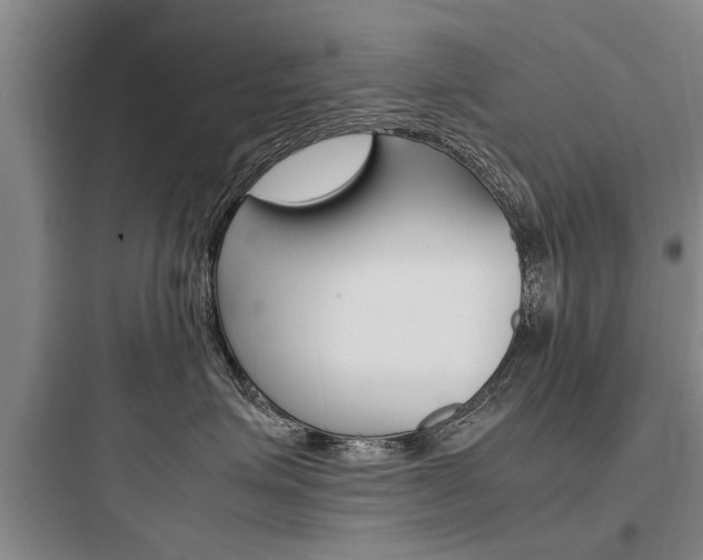 X0000097960623200803241043