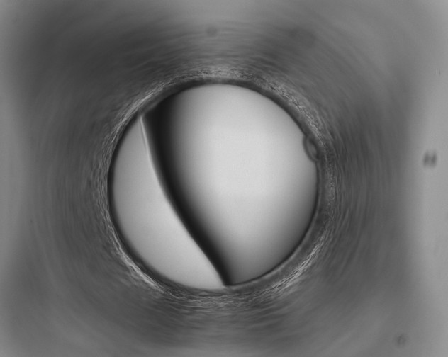 X0000097960625200803241042