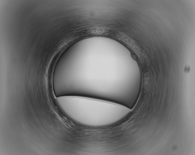 X0000097960626200803241042