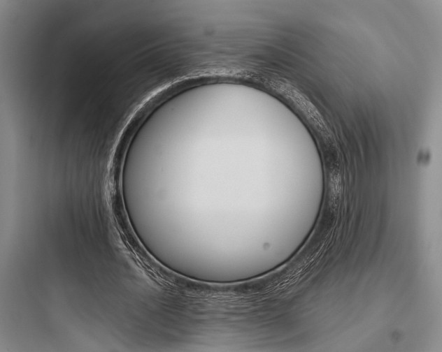 X0000097960628200803241042