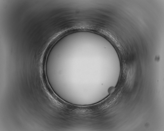 X0000097960629200803241042