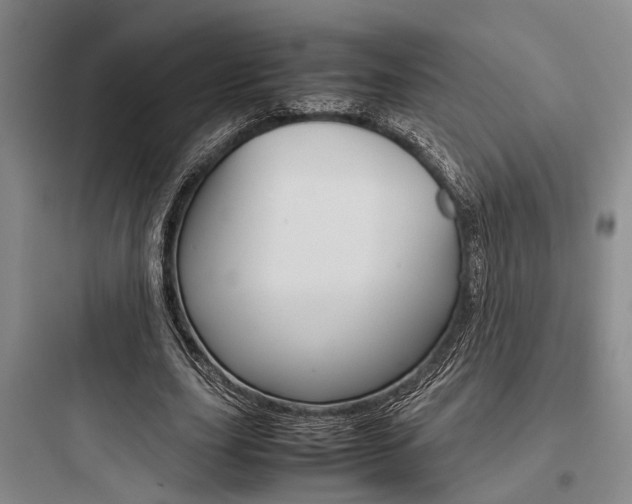 X0000097960631200803241043