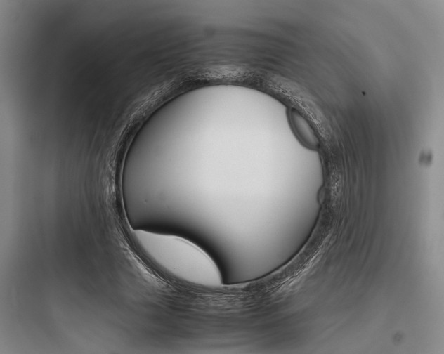X0000097960633200803241043