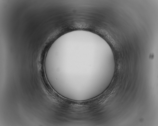 X0000097960635200803241043