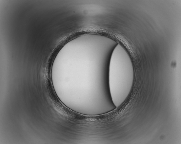 X0000097960636200803241043