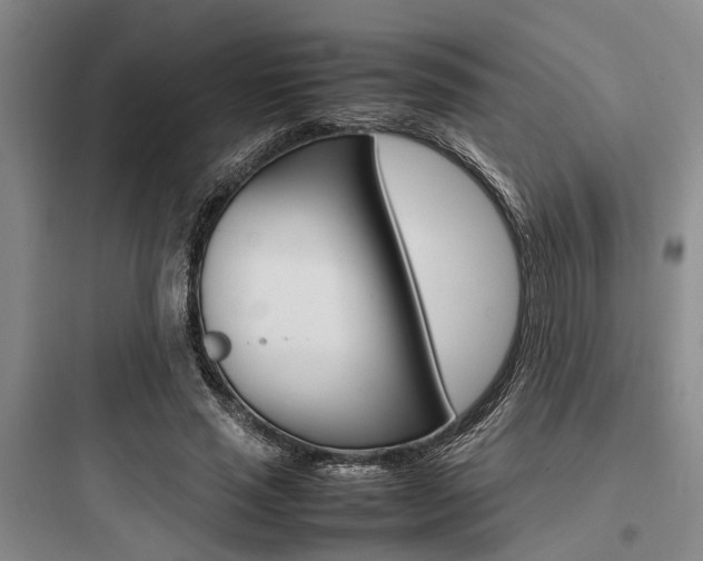 X0000097960637200803241043