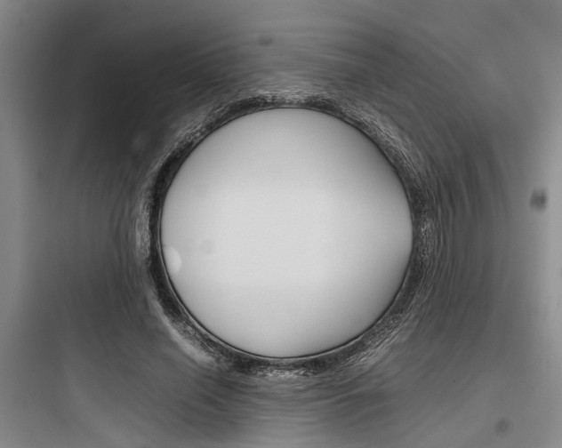 X0000097960638200803241043