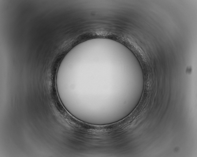 X0000097960639200803241043
