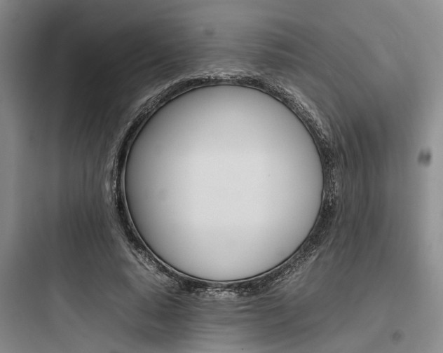 X0000097960640200803241043