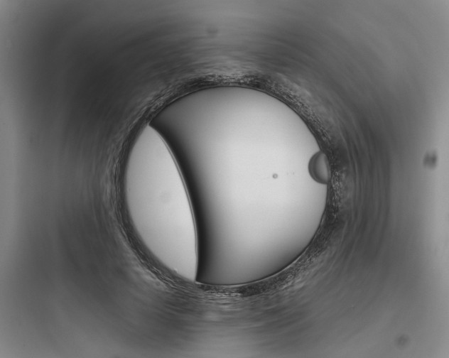 X0000097960642200803241043