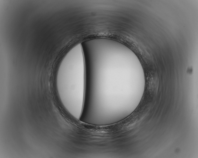 X0000097960643200803241043