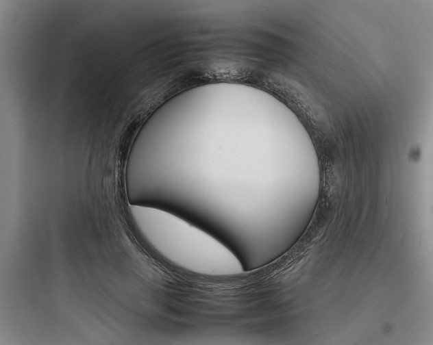 X0000097960645200803241043