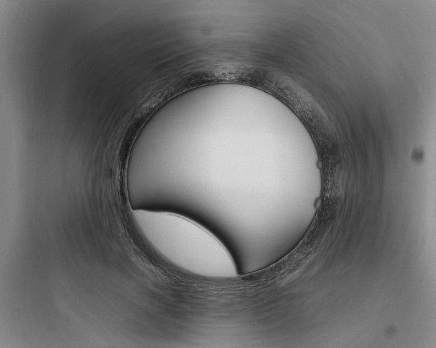 X0000097960646200803241043