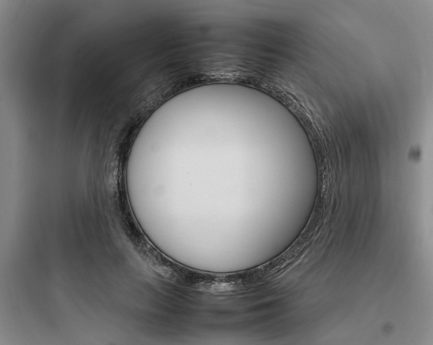X0000097960647200803241043