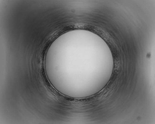 X0000097960648200803241043