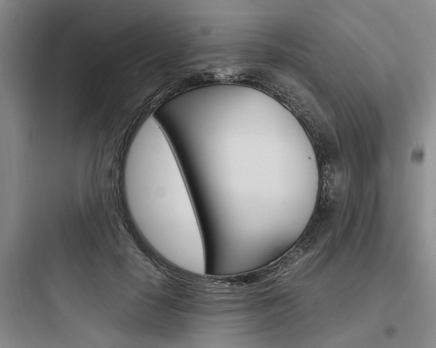 X0000097960650200803241043