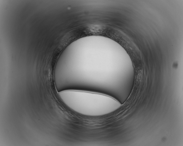 X0000097960651200803241043