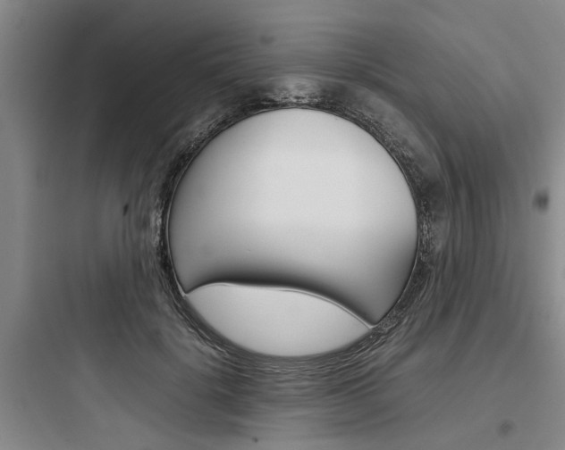 X0000097960652200803241043