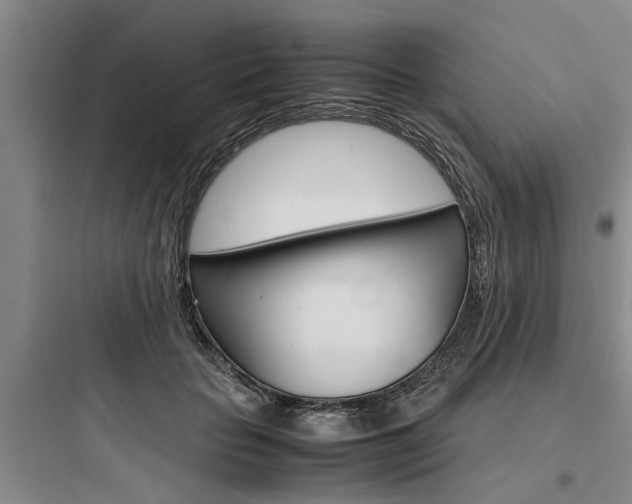 X0000097960653200803241043