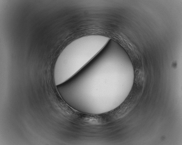 X0000097960655200803241043