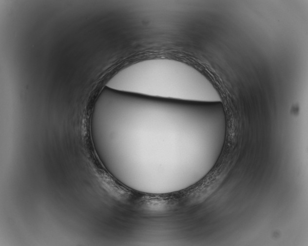 X0000097960658200803241043