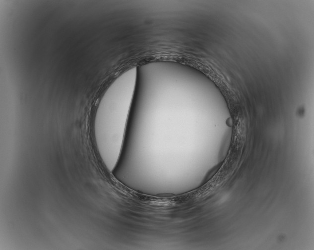X0000097960659200803241043