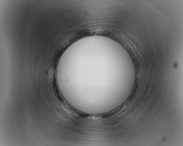 X0000097960660200803241043