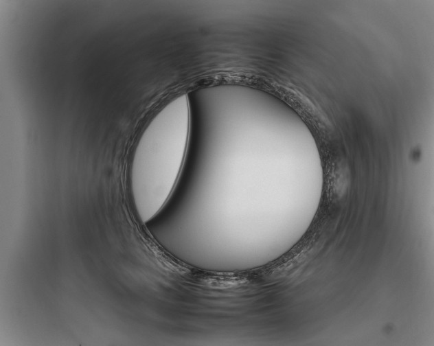 X0000097960661200803241043