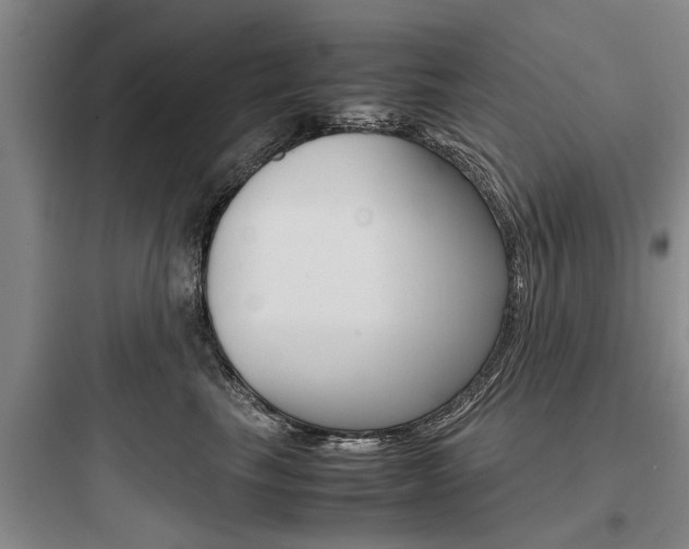 X0000097960665200803241043