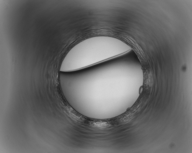 X0000097960669200803241043
