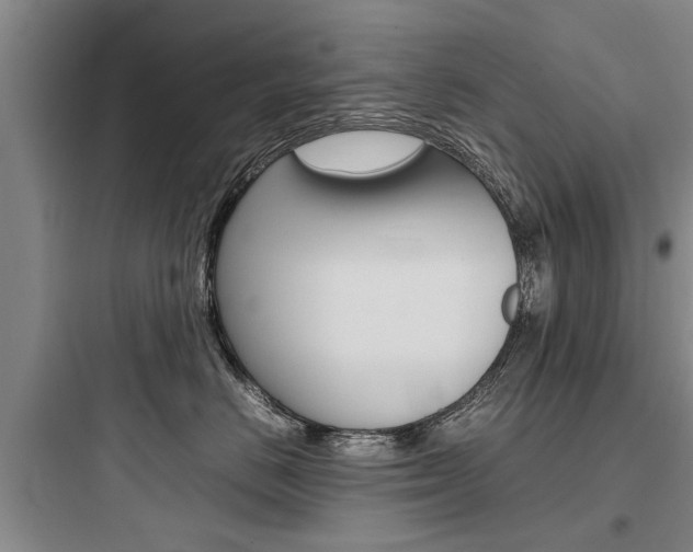 X0000097960670200803241043