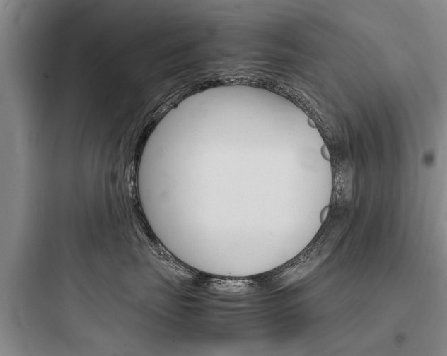 X0000097960671200803241043
