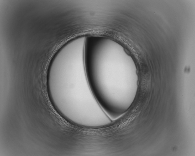 X0000097960673200803241042