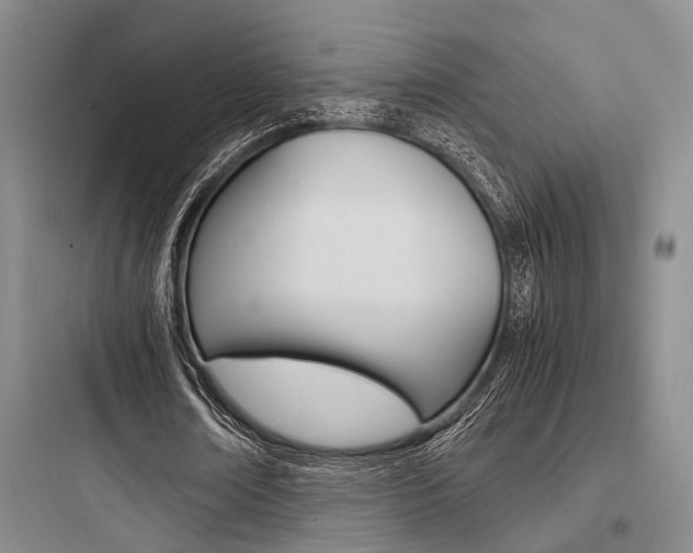 X0000097960674200803241042