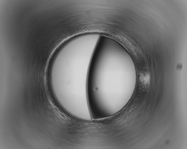 X0000097960676200803241042