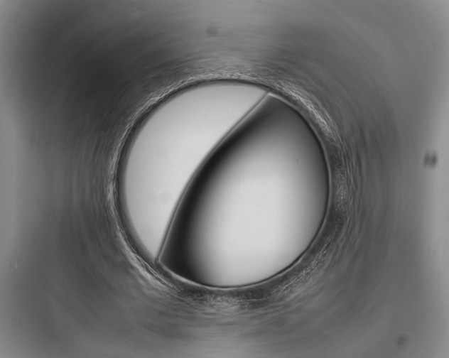 X0000097960677200803241042