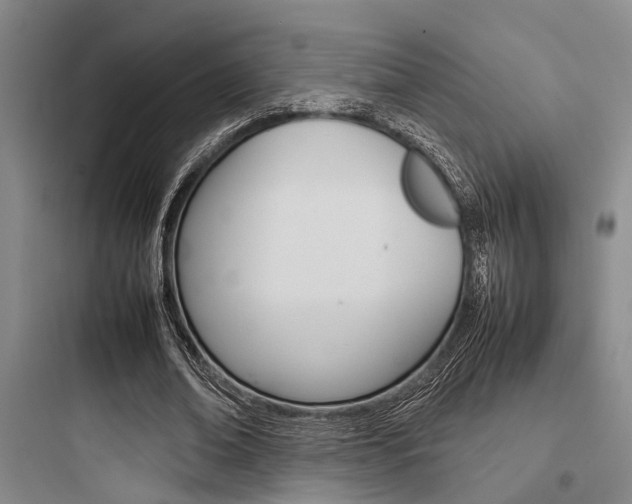 X0000097960678200803241042