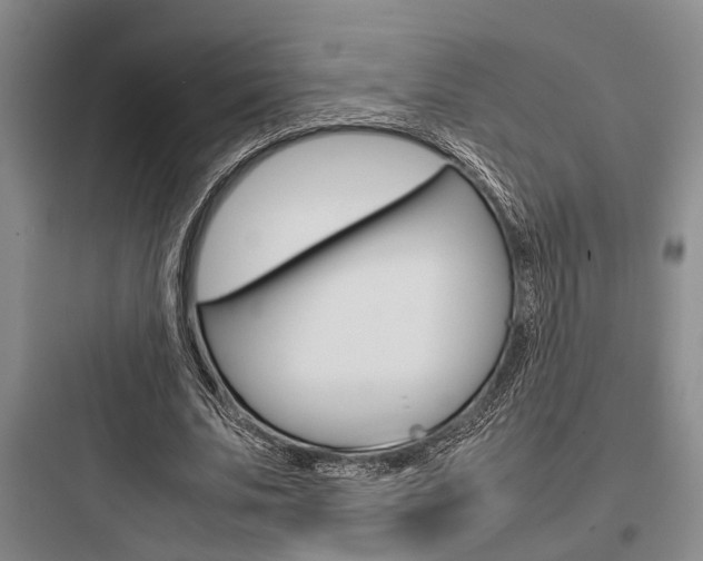 X0000097960679200803241042