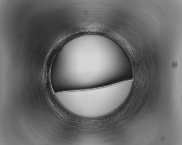 X0000097960680200803241042