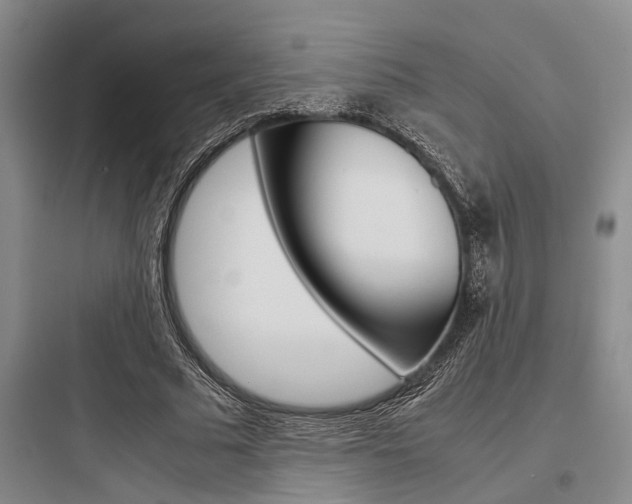 X0000097960681200803241042