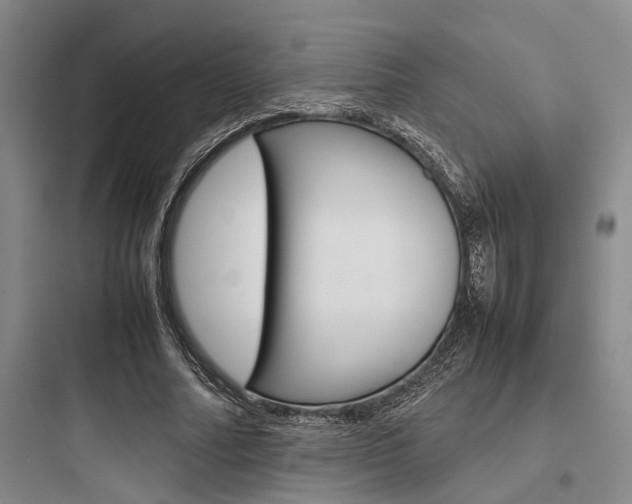 X0000097960682200803241042